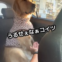 頑なに相手しない