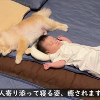 仲良く寄り添ってすやすや…♡