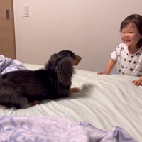 無邪気にじゃれあったり…