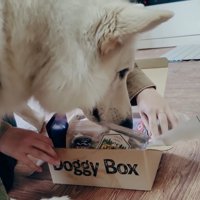 BJ くんに「お風呂入る？」と聞いたら