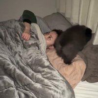 クルクル回り始めた