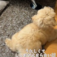 ちゃこたろう君と祖父母の初対面⑩