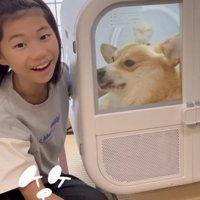 人のそばで舌を出す犬