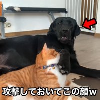 なぜか被害者面（笑）