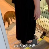 柵を置く飼い主さん
