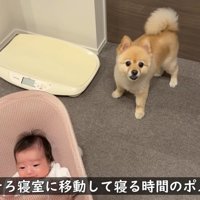 「僕、そろそろ寝ます！」