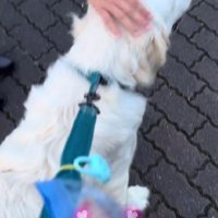 手の感触を満喫♡