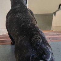 嬉しすぎて震えちゃう