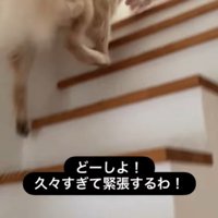 エマちゃんとパパさんの再会7