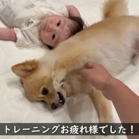 一緒にゴロ～ン♪