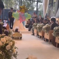 新郎新婦のもとへ向かう犬
