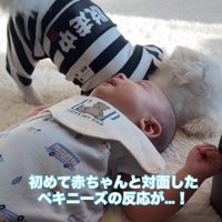 「会えて嬉しい！」