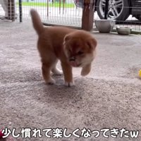 小さな大冒険♪