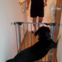 嬉しさが抑えられない♪