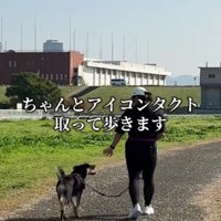 「お散歩、楽しいね♡」