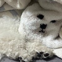 顔が動かない！？
