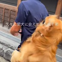 思わずもらい泣き…