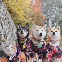 種を越えた絆に感動！