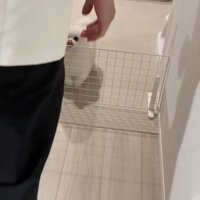 パパさんが目の前にきたら…