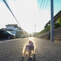 朝日に向かって仁王立ち
