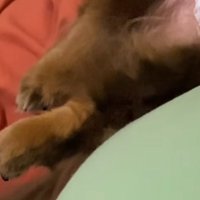 足をぴくぴく…