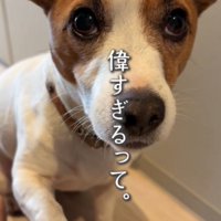 お手をする犬3