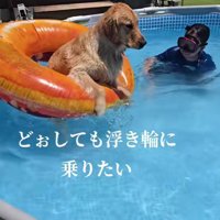 「僕も乗りたい…！」