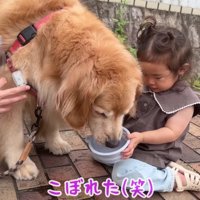 ほのちゃんがお手伝い
