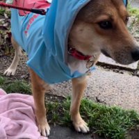 レインコートもちゃんと着られる