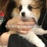 そらちゃんを迎えてからの日々2