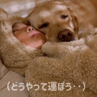 寄り添って寝る男の子と犬、どうやって運ぶか