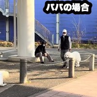 パパと鉢合わせるも…