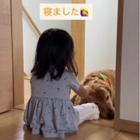 今度は見ている方が…