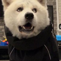 「本気か…？」