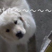 ようやく発見！