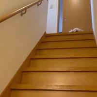 階段の前に行ったら…