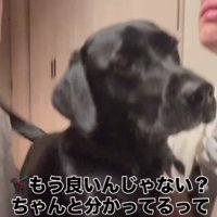 「もうやめて、泣いてるよ」