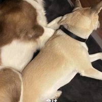 今はすっかり幸せです