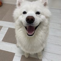 見上げる