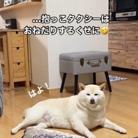 自分からは甘えない！？
