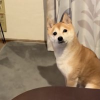 うるうるすぎる瞳