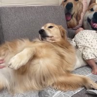 おからちゃんの隣で真似っ子