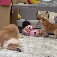 奪ってしまいました