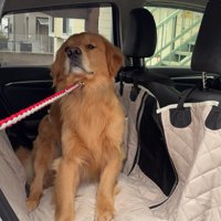 「絶対に行きたくない！！」