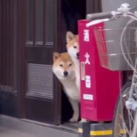 「ママ、行っちゃうの…？」