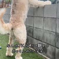 誰かが立っている…