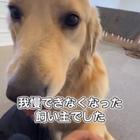 ちあちゃんの手を握るパパ
