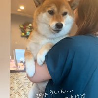 文句を言い始めるあーちゃん