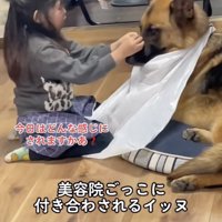 美容院の再現度高め…！
