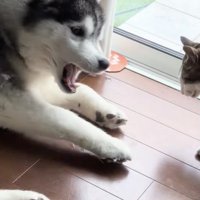 怒られちゃいました